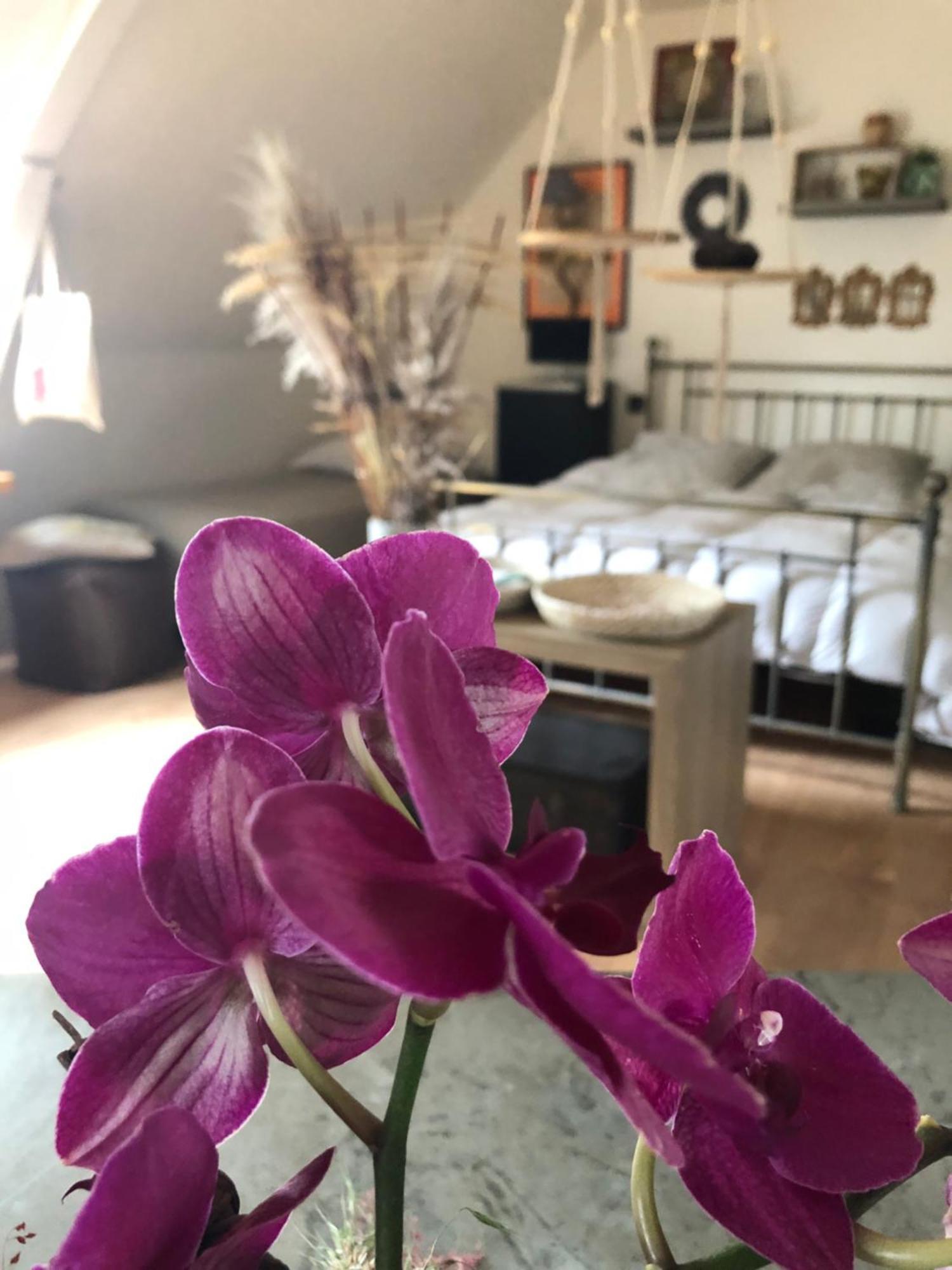 La Thibautiere Bed & Breakfast Blaison ภายนอก รูปภาพ