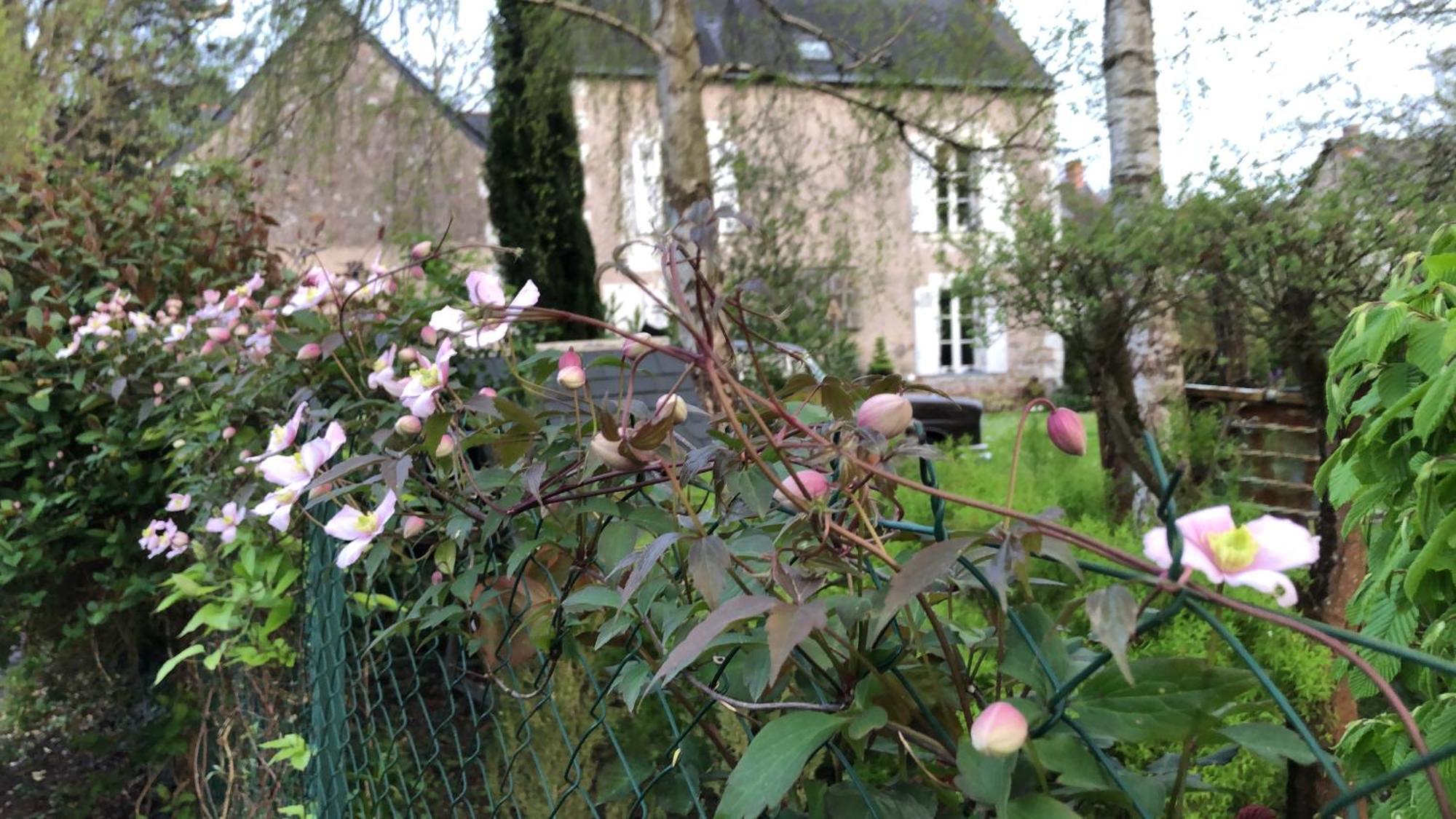 La Thibautiere Bed & Breakfast Blaison ภายนอก รูปภาพ