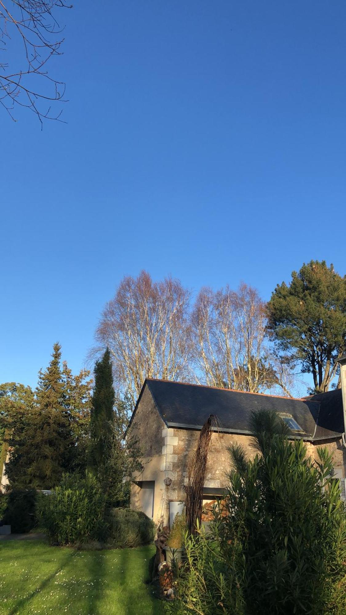 La Thibautiere Bed & Breakfast Blaison ภายนอก รูปภาพ