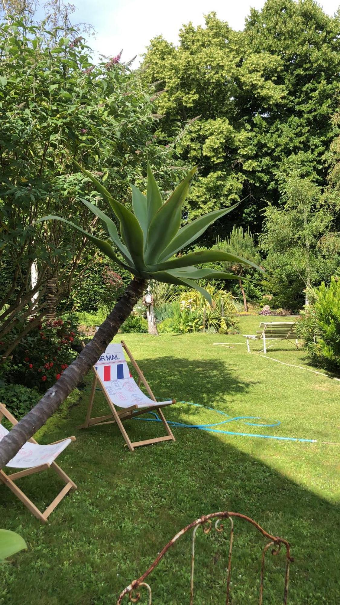 La Thibautiere Bed & Breakfast Blaison ภายนอก รูปภาพ